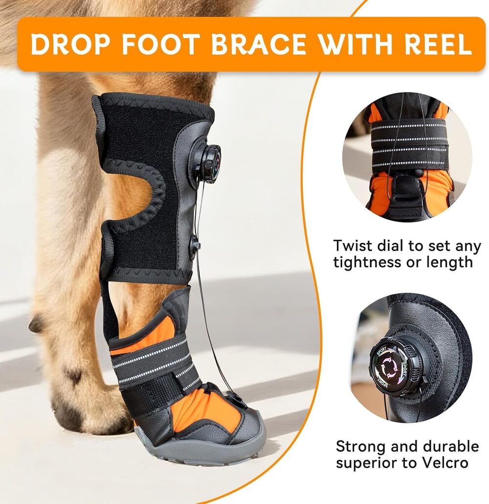 No Knuckling Brace for Dogs
